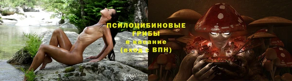 спиды Козельск