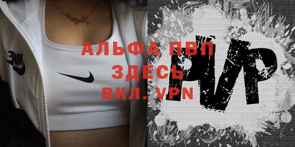спиды Козельск