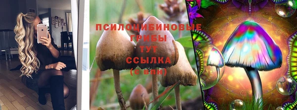 марки nbome Козловка
