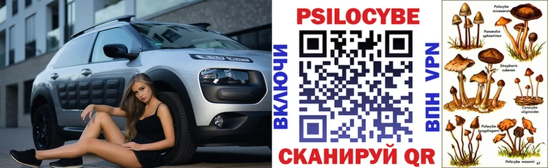 Купить закладки  Плавск  Галлюциногенные грибы Cubensis 